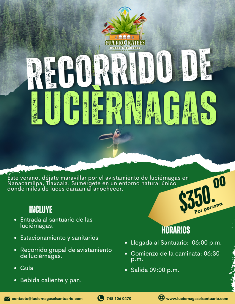 RECORRIDO-DE-LUCIERNAGAS-2